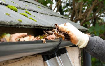 gutter cleaning Ditton
